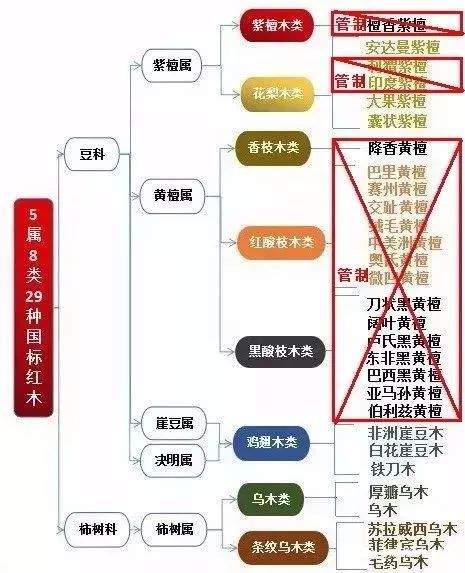 血檀入濒危物种延期：第18届CITES大会因恐怖袭击推迟至8月17日！