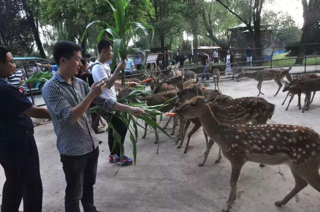 阜阳生态园搞事情？门票竟然只要3毛钱！快抢！