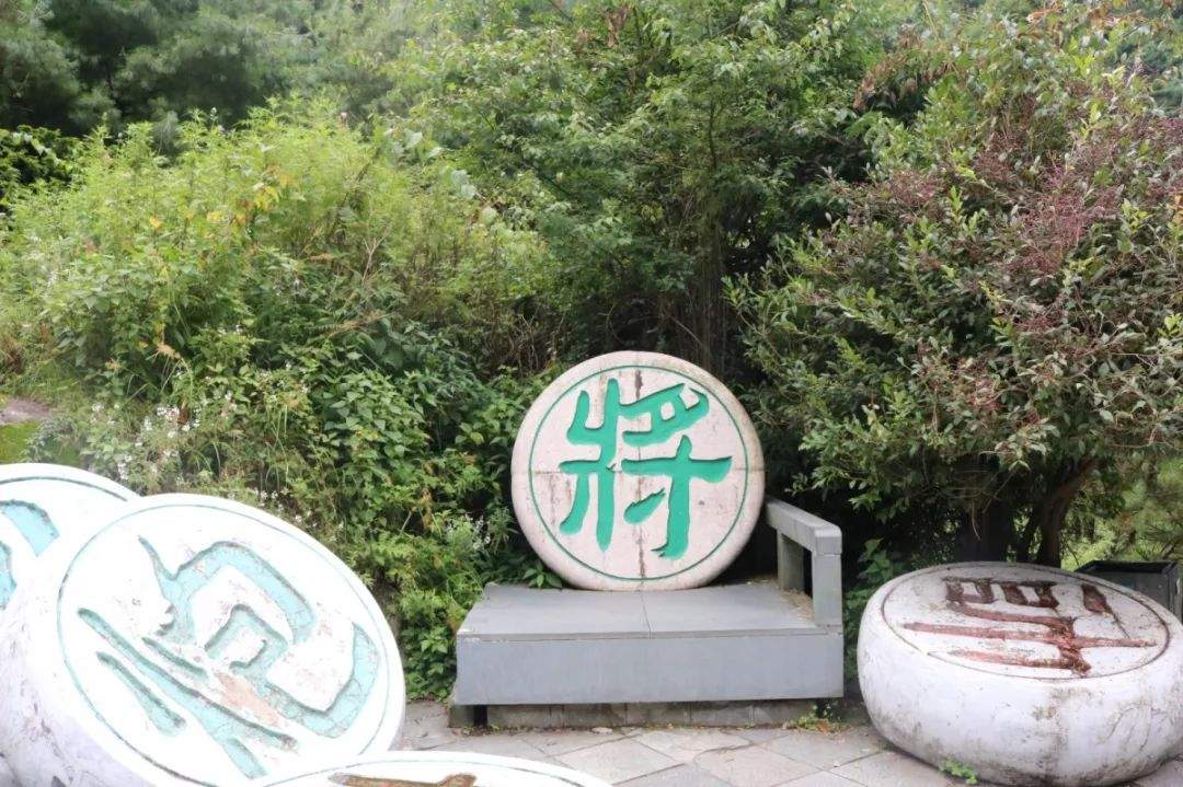 避暑攻略｜夏季均温19℃的大理苍山，才是当之无愧的纳凉避暑地！