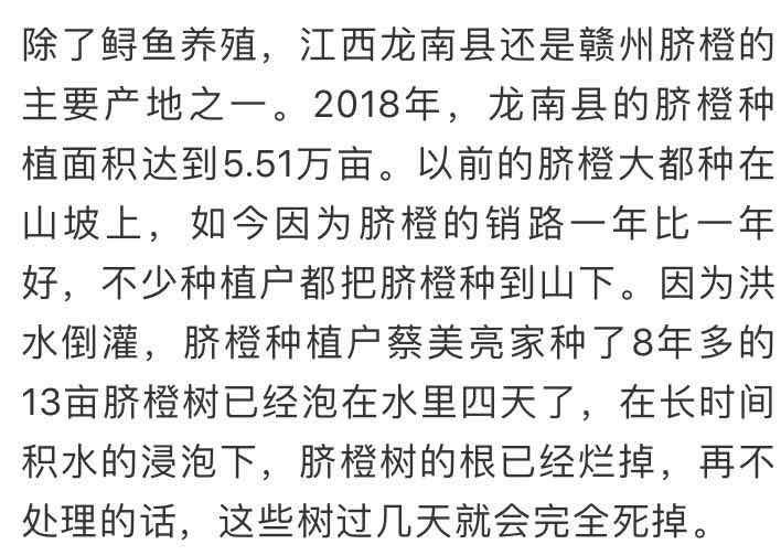 突发山洪，数百万元的大鲟鱼被卷走！赣州一养鱼人失声痛哭