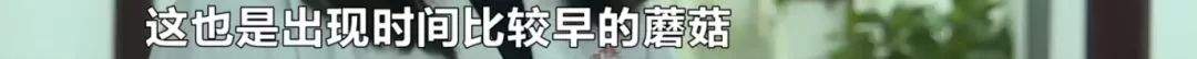 @岳阳人 省疾控中心预警！近期多地相继发生！已致一人死亡！