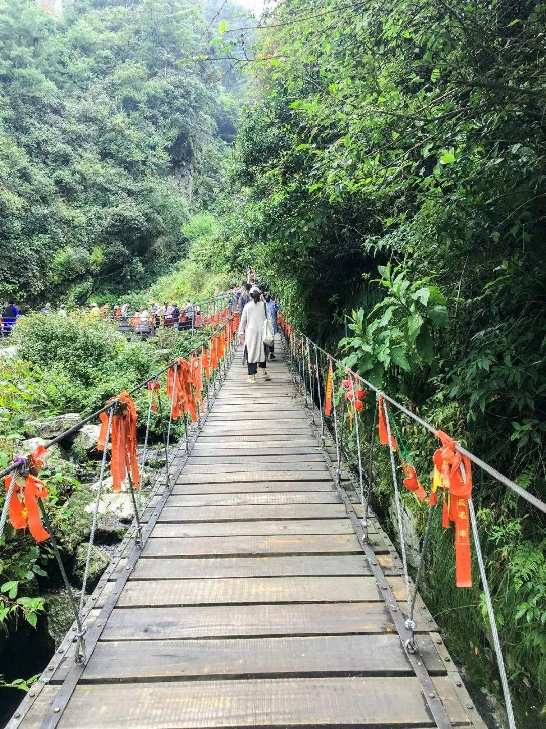 避暑攻略｜夏季均温19℃的大理苍山，才是当之无愧的纳凉避暑地！