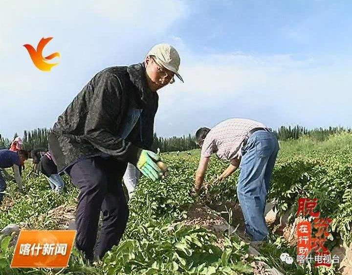 脱贫攻坚总攻势 | 全力以赴促脱贫