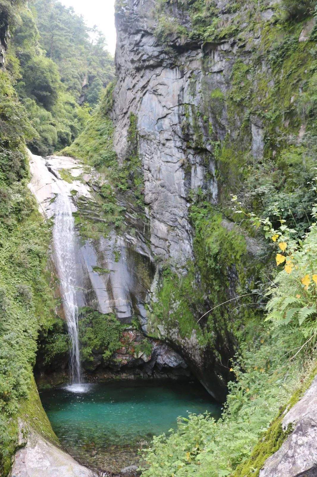 避暑攻略｜夏季均温19℃的大理苍山，才是当之无愧的纳凉避暑地！