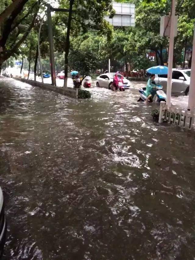 鄂州全市防汛！强降雨袭击，中考延迟，这些路段交通中断…