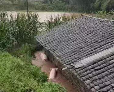 重大天气丨暴雨开启车轮战模式