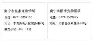 违规养犬被警察查处，南宁男子竟攻击采访记者！家有爱犬千万要注意这个问题→【930新闻眼】