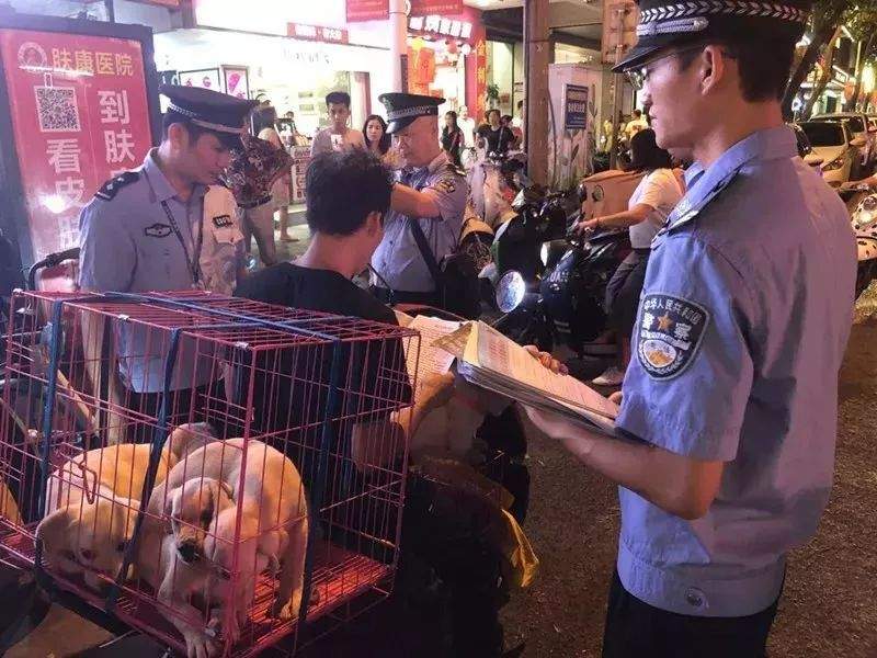 违规养犬被警察查处，南宁男子竟攻击采访记者！家有爱犬千万要注意这个问题→【930新闻眼】