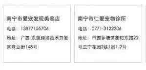 违规养犬被警察查处，南宁男子竟攻击采访记者！家有爱犬千万要注意这个问题→【930新闻眼】