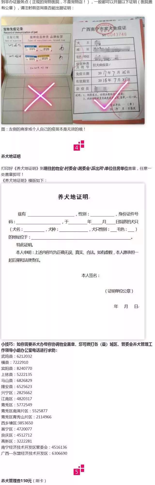 违规养犬被警察查处，南宁男子竟攻击采访记者！家有爱犬千万要注意这个问题→【930新闻眼】