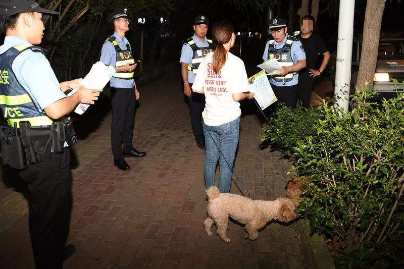 违规养犬被警察查处，南宁男子竟攻击采访记者！家有爱犬千万要注意这个问题→【930新闻眼】