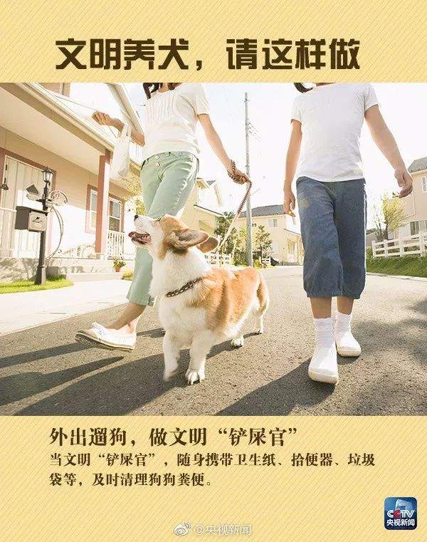 违规养犬被警察查处，南宁男子竟攻击采访记者！家有爱犬千万要注意这个问题→【930新闻眼】