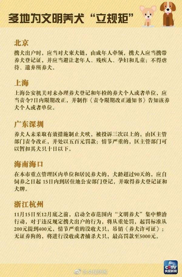 违规养犬被警察查处，南宁男子竟攻击采访记者！家有爱犬千万要注意这个问题→【930新闻眼】