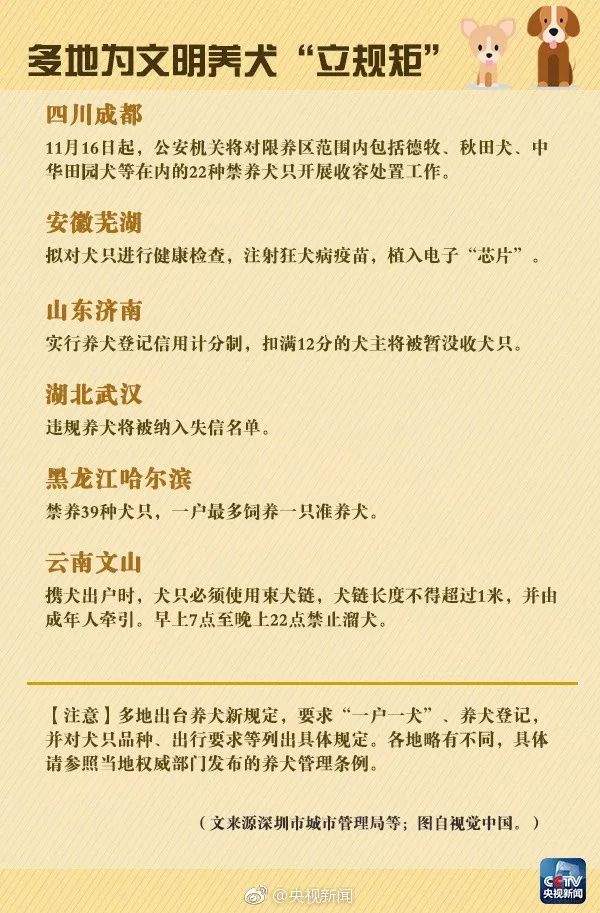 违规养犬被警察查处，南宁男子竟攻击采访记者！家有爱犬千万要注意这个问题→【930新闻眼】