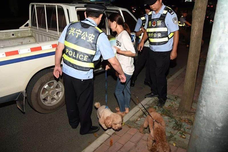 违规养犬被警察查处，南宁男子竟攻击采访记者！家有爱犬千万要注意这个问题→【930新闻眼】