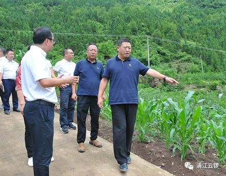 绵阳市委常委、组织部部长岳勇到雁门镇调研指导工作