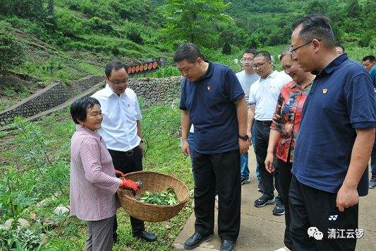 绵阳市委常委、组织部部长岳勇到雁门镇调研指导工作