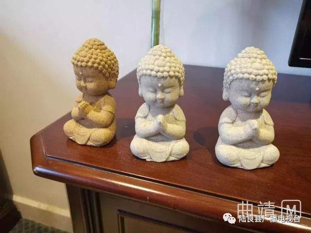 品陆良风情 展地方魅力——陆良专场推介会引爆重庆！