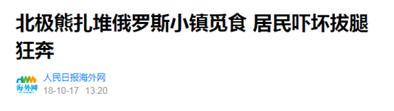 俄罗斯街头惊现北极熊 背后原因让人心痛