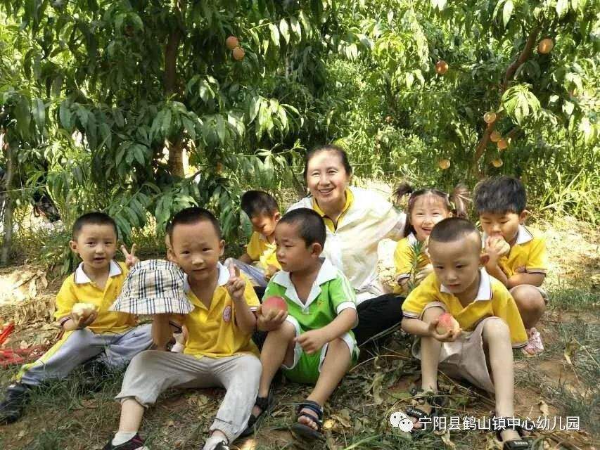 【教育视窗】相约田园 快乐采摘——鹤山镇幼儿园亲子采摘活动