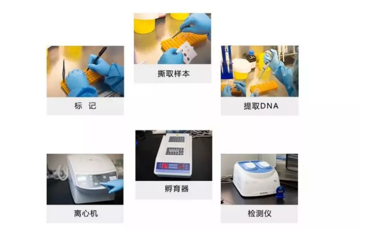 「小白科普」干血斑检测排除HIV感染那些问题！