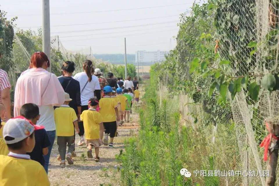 【教育视窗】相约田园 快乐采摘——鹤山镇幼儿园亲子采摘活动