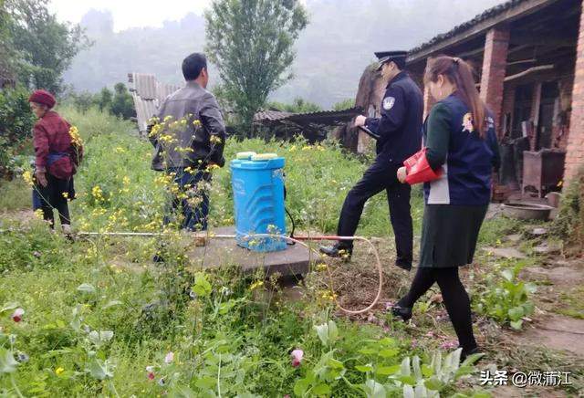 蒲江县召开平安社区工程百日攻坚行动集中攻坚推进会