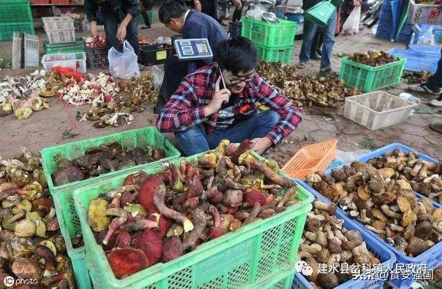 【食品安全】特别关注：云南省食物中毒防控工作公益宣传科普片重磅发布