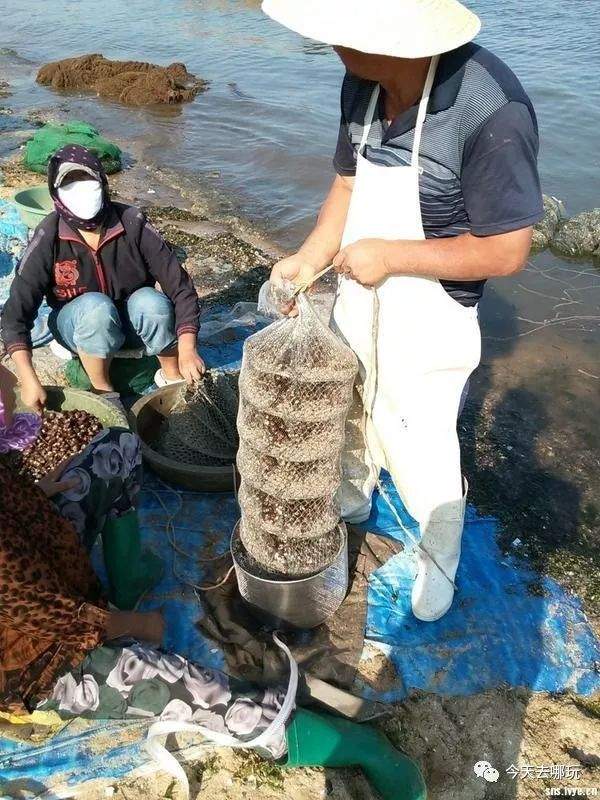 2日活动｜东戴河｜东戴河沙滩-悠悠海边游-品海鲜大餐，周末休闲2日活动