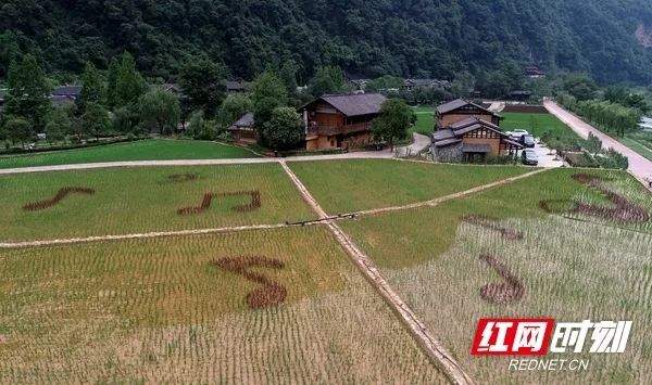 张家界市中心城区“两路两通道”开工建设(更多)