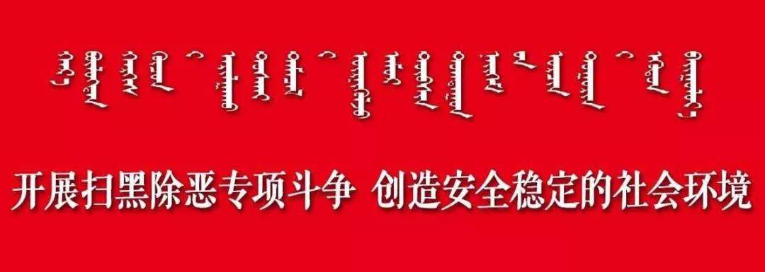 中央扫黑除恶督导在内蒙古】中央扫黑除恶第15督导组召开第二次工作通报对接会