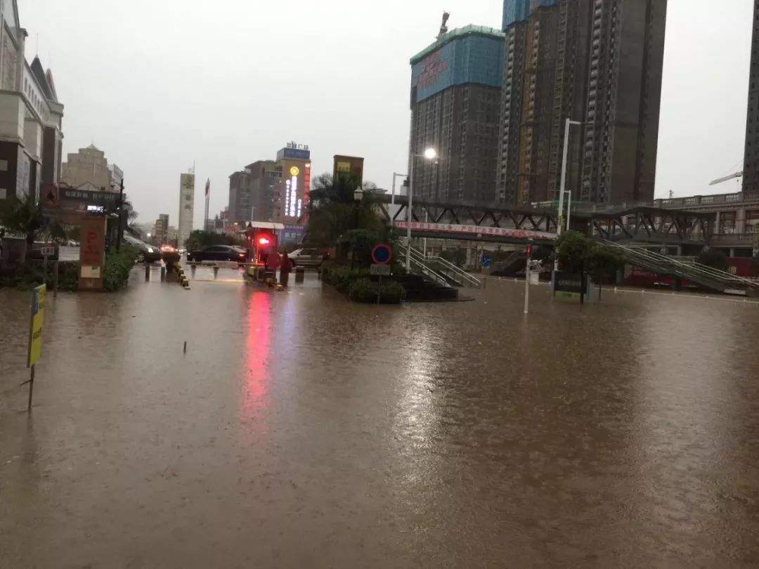 超级台风季来了！第3号台风“圣帕”生成！东莞未来10天都是雨雨雨......