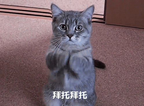 拿什么拯救你，抖音里的猫咪！