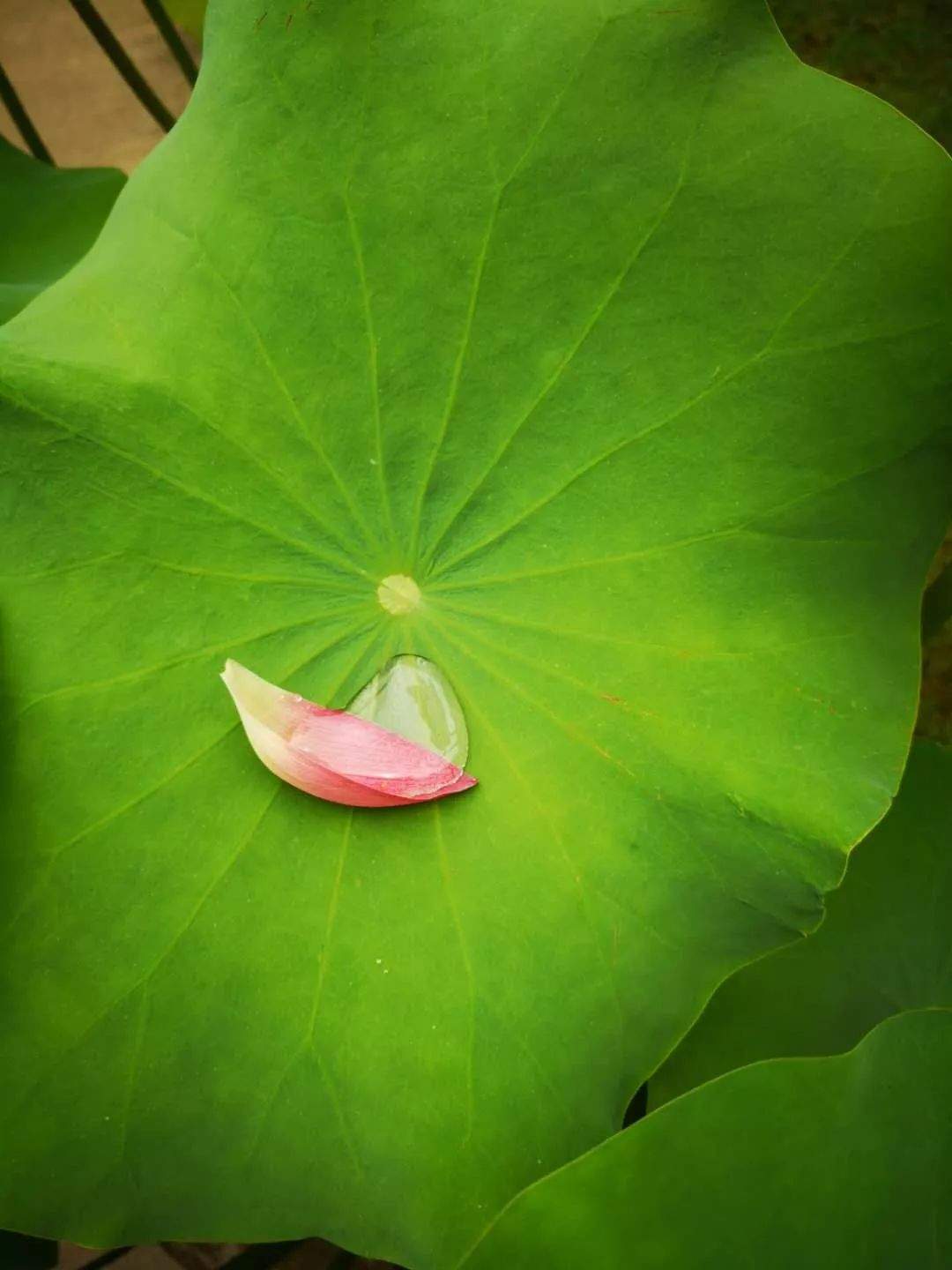 毕业后，华中大最潮毕业衫给你带走！