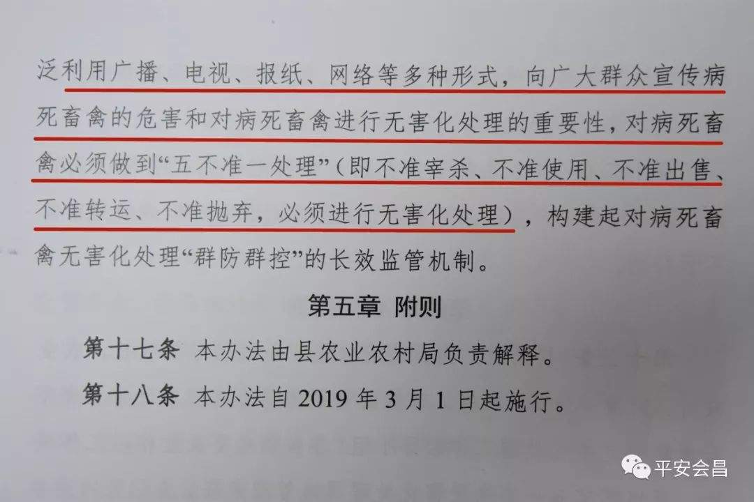 赣州有病死猪卖往超市？谣言！警方已拘留发布不实视频者！