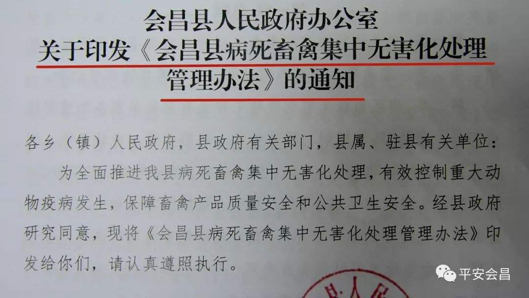 赣州有病死猪卖往超市？谣言！警方已拘留发布不实视频者！