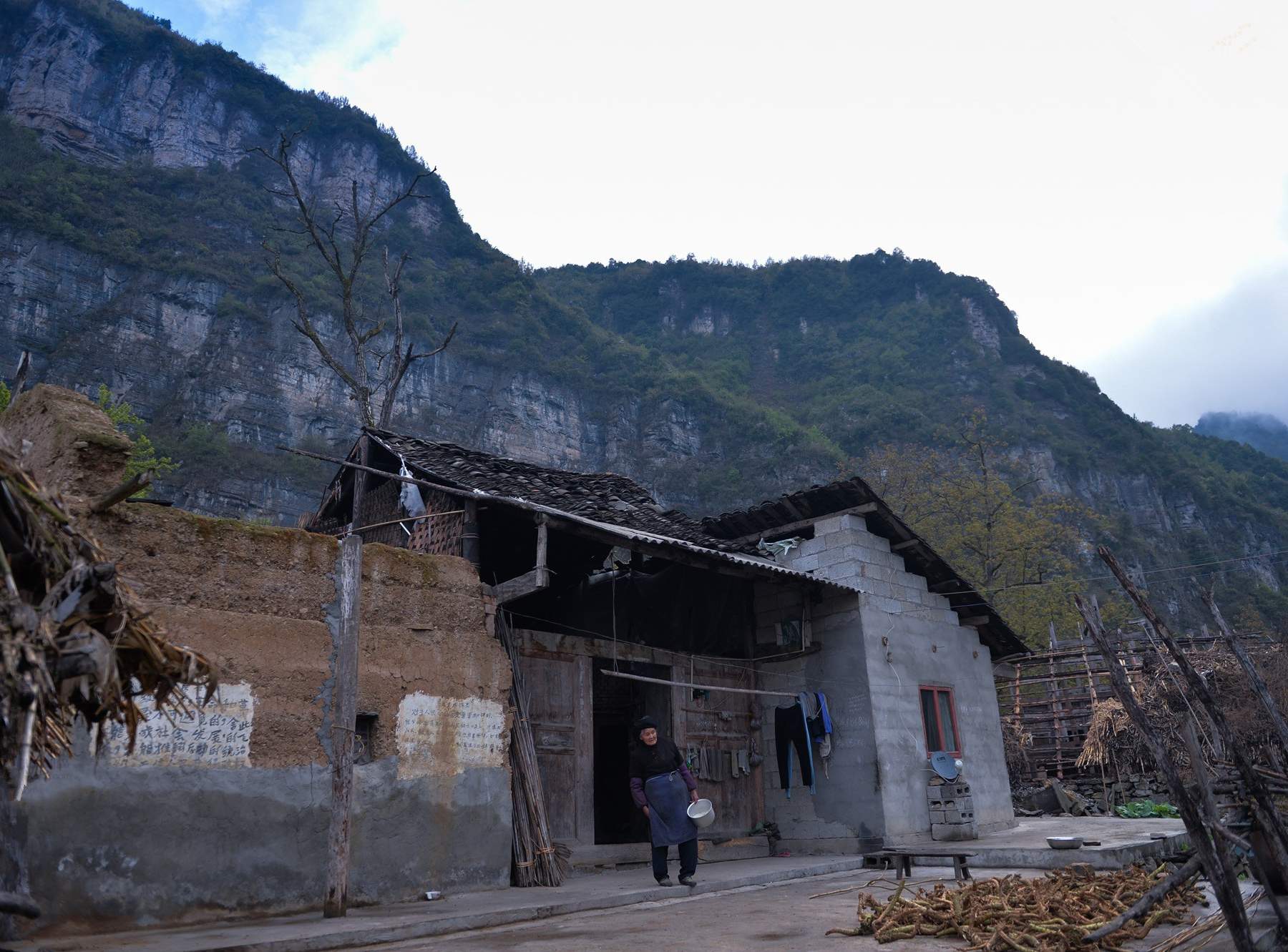 直击野生燕窝的采摘全程，村民冒性命风险跋山涉水才有可能采得到