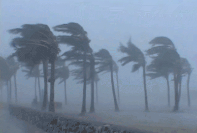 就在今晚！今年首个登陆我国的台风要来了！厦门开启雨雨雨雨模式，气温也将...