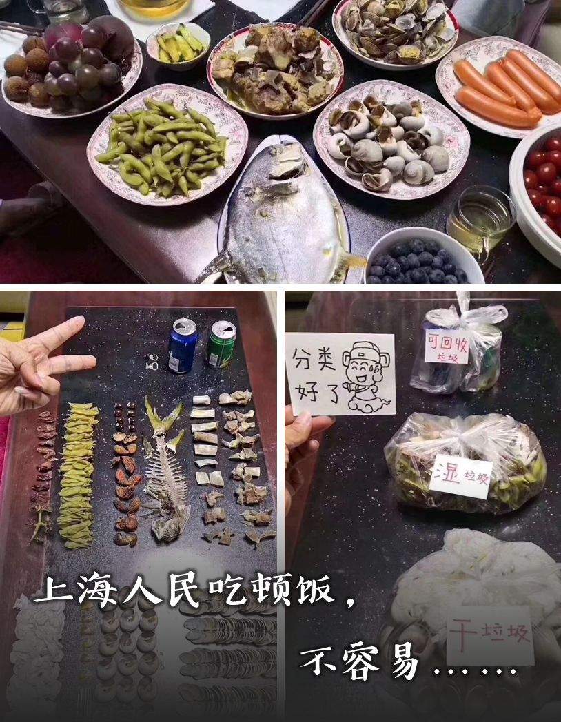 垃圾分类分上瘾，这个国家的垃圾靠进口，并不是日本……