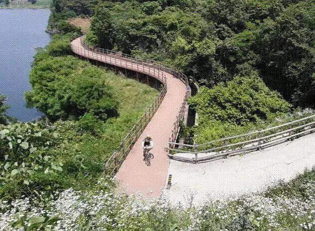 韩国首尔-釜山7天美景、美食欢乐骑行之旅