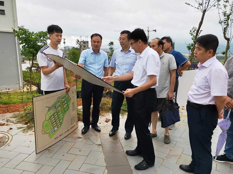 自治区教育厅调研组到上思县开展教育工作调研活动