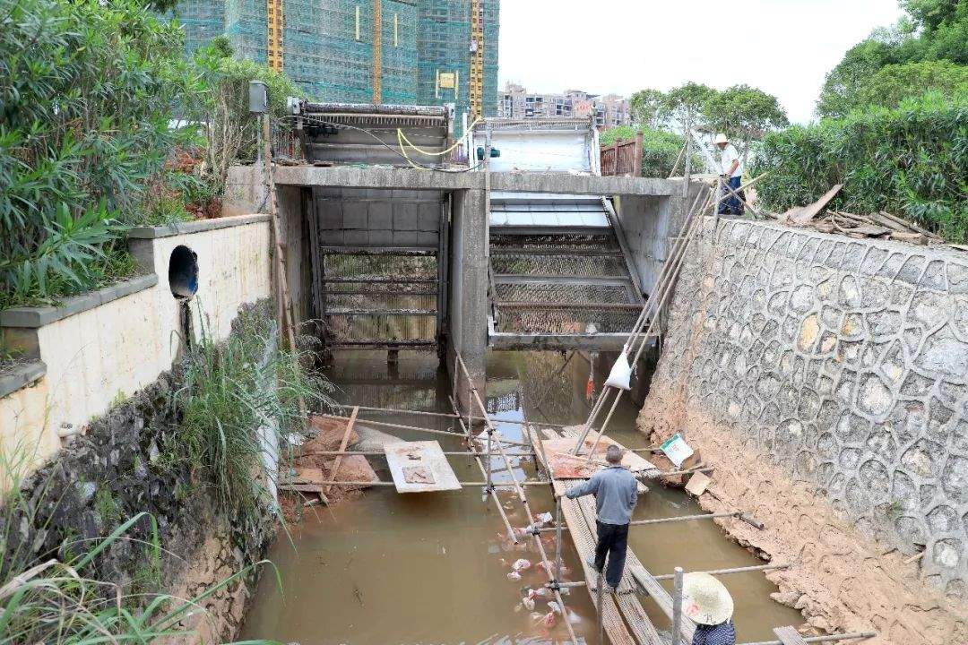 【头条】狠抓落实聚力治水——刘建中召开玉湖和五丰河治理工作推进会