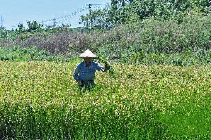 知识产权保护这条路上，常州又迈出了一大步！