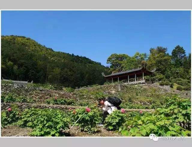 福州这下全世界出名了，一个大型国际性会议，将落户福州