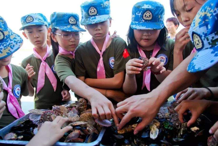 蓝海行动重磅出击，海洋之旅欢乐来袭，让我们暑期快乐相聚！