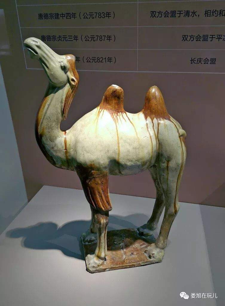 首都博物馆 青海大展（上）