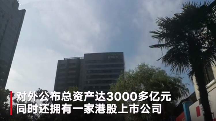 资产3千亿董事长猥亵9岁女童被刑拘,通报中还透露这些隐藏信息