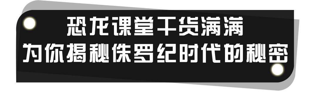 1000㎡超大型“侏罗纪”恐龙展，来深圳啦！