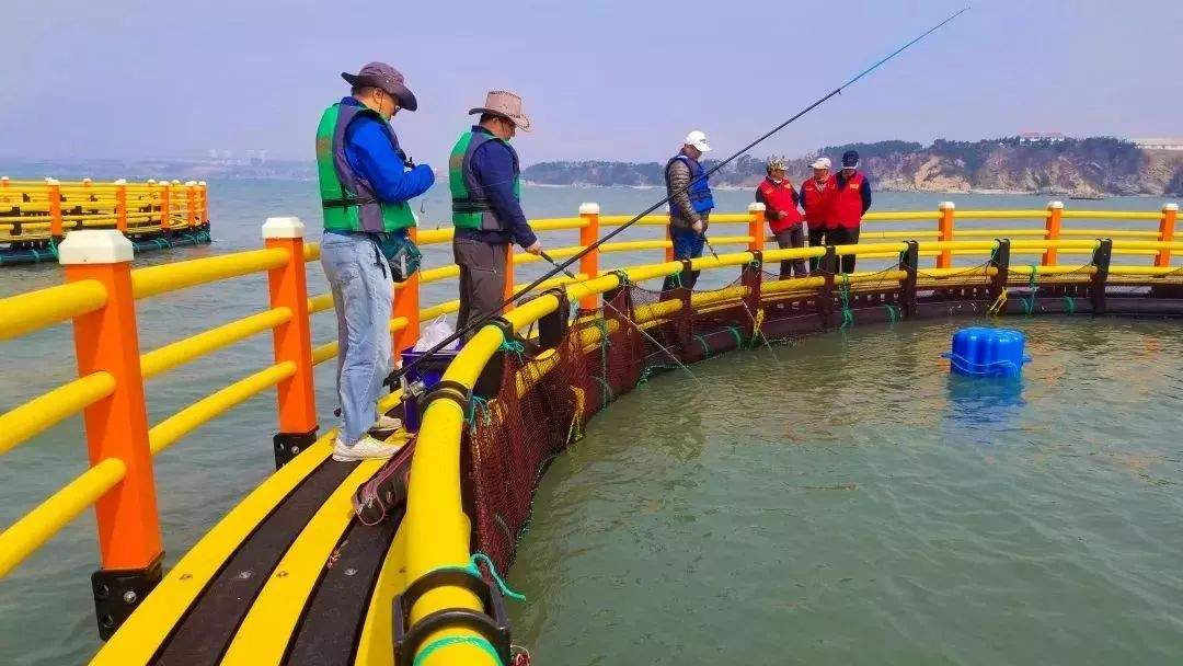 蓝海行动重磅出击，海洋之旅欢乐来袭，让我们暑期快乐相聚！