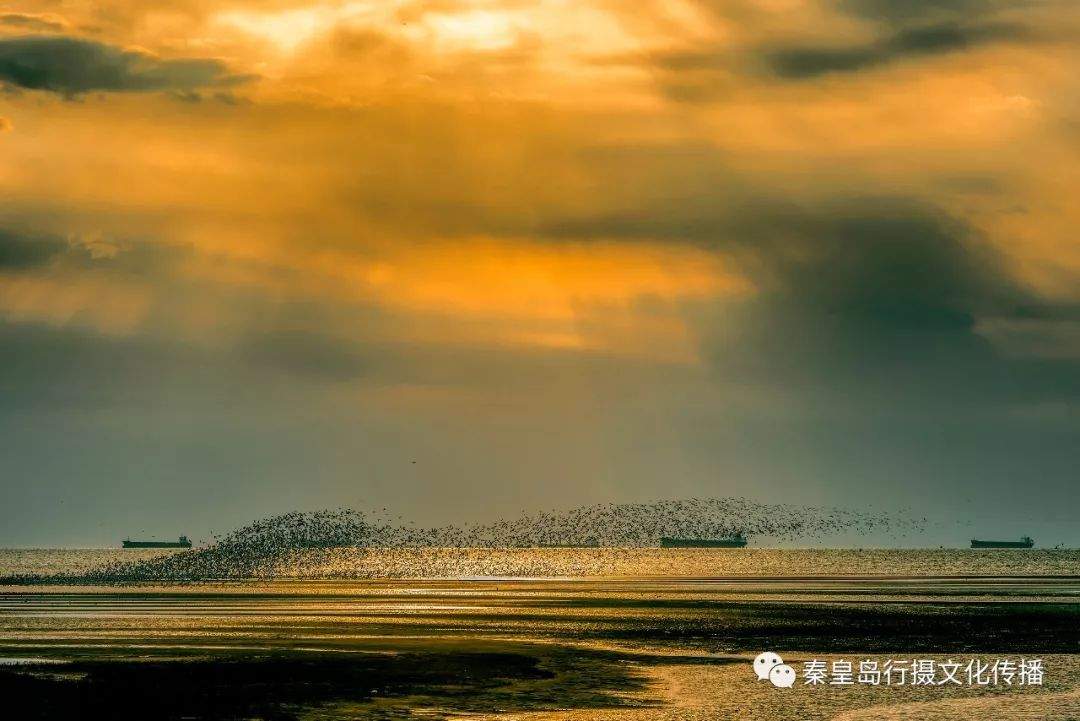 "守望绿水青山”||秦皇岛摄影师作品再次闪耀北京王府井